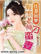 佳妻如梦:腹黑老师刁蛮妻