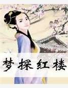 梦探红楼